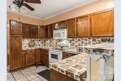 29 Panther Ridge Road, Brevard, NC 28712 - Photo 23