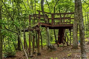 29 Panther Ridge Rd, Brevard, NC 28712 - Photo 45