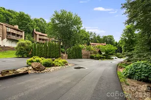 305 Piney Mountain Dr, Asheville, NC 28805 - Photo 35