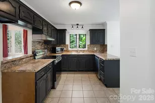 305 Piney Mountain Dr, Asheville, NC 28805 - Photo 9