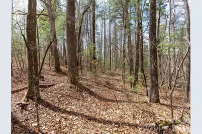 00 E Hilltop Drive #13B, Saluda, NC 28773 - Photo 3