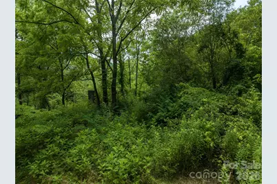 99999 US 70 Highway, Swannanoa, NC 28778 - Photo 17