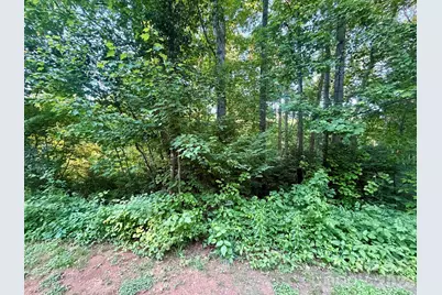 1227 Shirebourn None, Hickory, NC 28602 - Photo 45