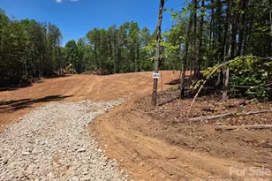 Tbd Vein Mountain Rd, Nebo, NC 28761 - Photo 1