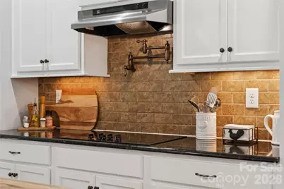 295 Worthington Drive, Mount Ulla, NC 28125 - Photo 17
