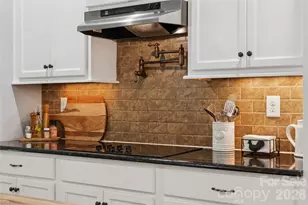 295 Worthington Dr, Mount Ulla, NC 28125 - Photo 17