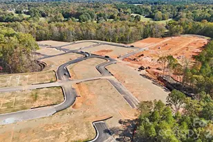 3920 Clemson Alley, Indian Land, SC 29707 - Photo 27