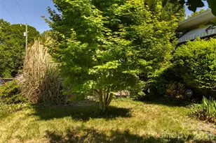 15 Walton St, Asheville, NC 28801 - Photo 13