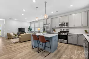 252 Portrait Wy, Indian Trail, NC 28079 - Photo 11