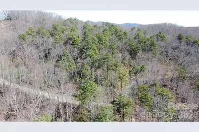 0000 Wilderness Road, Hays, NC 28635 - Photo 9