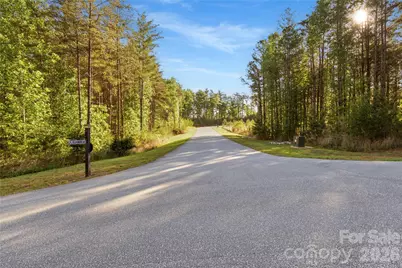 3345 Ella Marie Way #65, Nebo, NC 28761 - Photo 3