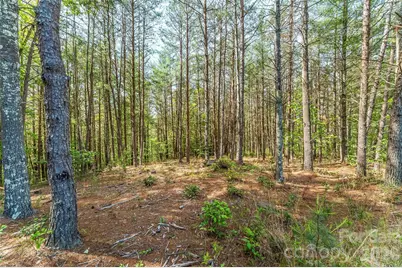 3345 Ella Marie Way #65, Nebo, NC 28761 - Photo 7