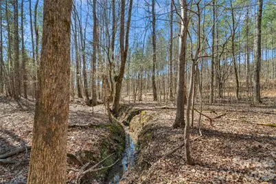 000 Peacehaven Road #4, McConnells, SC 29726 - Photo 3