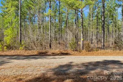 000 Peacehaven Road #4, McConnells, SC 29726 - Photo 21