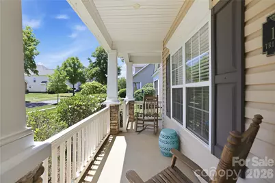 1008 Triple Crown Drive, Indian Trail, NC 28079 - Photo 29