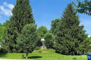 46 Larkspur Ln, Canton, NC 28716 - Photo 3
