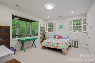 547 Pinnacle Peak Ln, Flat Rock, NC 28731 - Photo 41