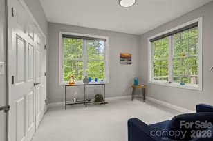 547 Pinnacle Peak Ln, Flat Rock, NC 28731 - Photo 23