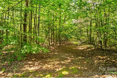 1629 Parkside Drive, Catawba, NC 28609 - Photo 47