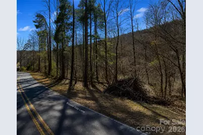 00-00 (9.99 Acres) Boone Gap Lane #Tract-2/BLOCK 1218, Taylorsville, NC 28681 - Photo 17