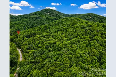 00-00 (9.99 Acres) Boone Gap Lane #Tract-2/BLOCK 1218, Taylorsville, NC 28681 - Photo 7
