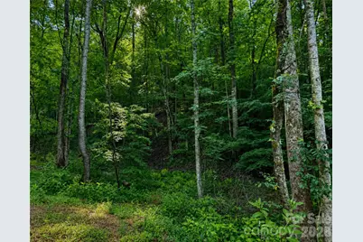 00-00 (9.99 Acres) Boone Gap Lane #Tract-2/BLOCK 1218, Taylorsville, NC 28681 - Photo 15