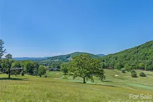 5 Split Creek Ct, Mills River, NC 28759 - Photo 45