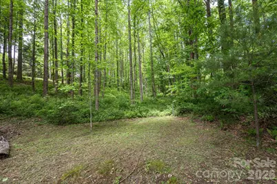 113 Chancery Court, Flat Rock, NC 28731 - Photo 41