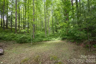 113 Chancery Ct, Flat Rock, NC 28731 - Photo 41