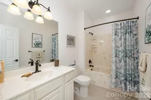 113 Chancery Ct, Flat Rock, NC 28731 - Photo 29
