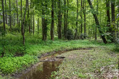 113 Chancery Court, Flat Rock, NC 28731 - Photo 43