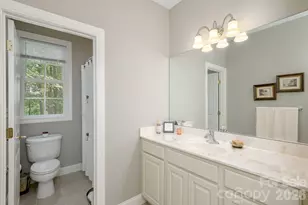 113 Chancery Ct, Flat Rock, NC 28731 - Photo 31