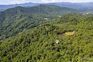 51 Stony Pond Ln, Canton, NC 28716 - Photo 39