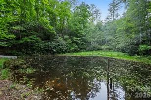 6029 Mulberry Church Rd, Lenoir, NC 28645 - Photo 13