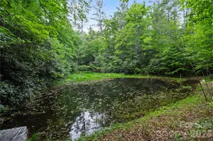 6029 Mulberry Church Rd, Lenoir, NC 28645 - Photo 13