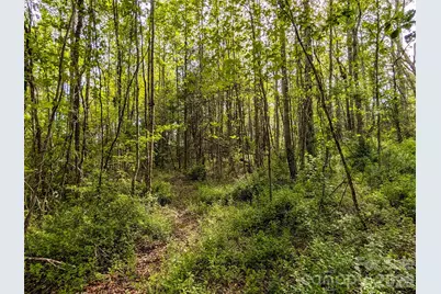 99999 Weldon Way, Fairview, NC 28730 - Photo 17