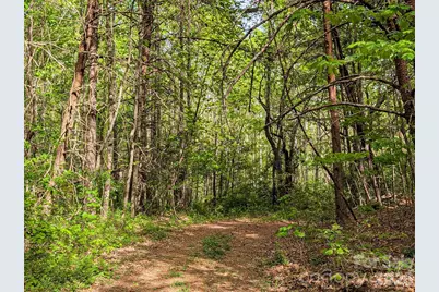99999 Weldon Way, Fairview, NC 28730 - Photo 23