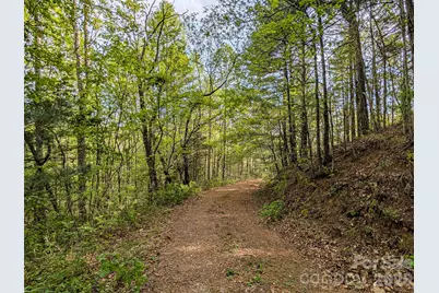 99999 Weldon Way, Fairview, NC 28730 - Photo 27