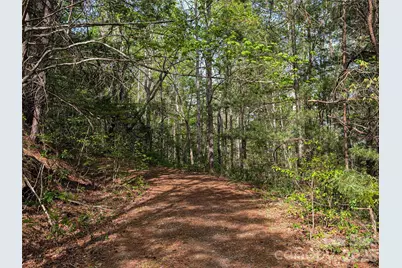 99999 Weldon Way, Fairview, NC 28730 - Photo 29