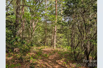 99999 Weldon Way, Fairview, NC 28730 - Photo 25