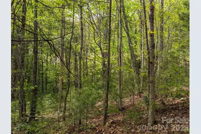 99999 Weldon Way, Fairview, NC 28730 - Photo 11