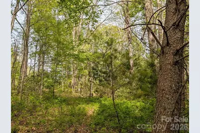 99999 Weldon Way, Fairview, NC 28730 - Photo 13