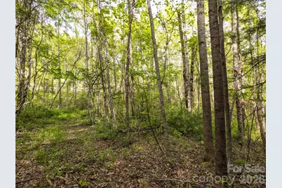 99999 Weldon Way, Fairview, NC 28730 - Photo 21