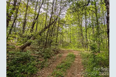 99999 Weldon Way, Fairview, NC 28730 - Photo 3