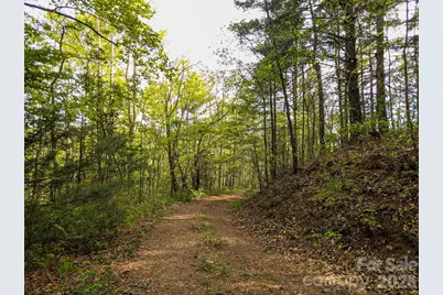 99999 Weldon Way, Fairview, NC 28730 - Photo 5