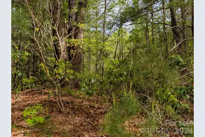 99999 Weldon Way, Fairview, NC 28730 - Photo 7