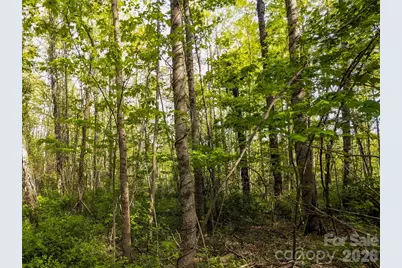 99999 Weldon Way, Fairview, NC 28730 - Photo 19