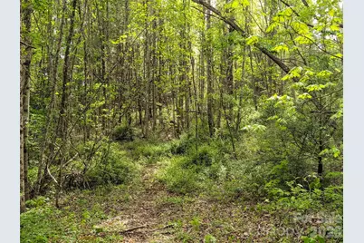 99999 Weldon Way, Fairview, NC 28730 - Photo 15