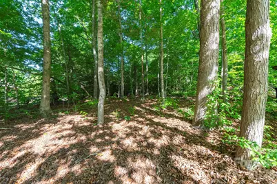 34 Goldmont Street, Black Mountain, NC 28711 - Photo 37