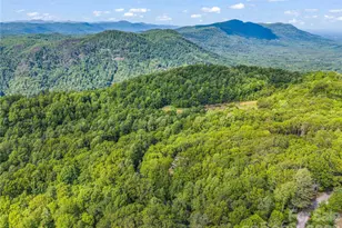 737 Melrose Mountain Rd, Tryon, NC 28782 - Photo 9